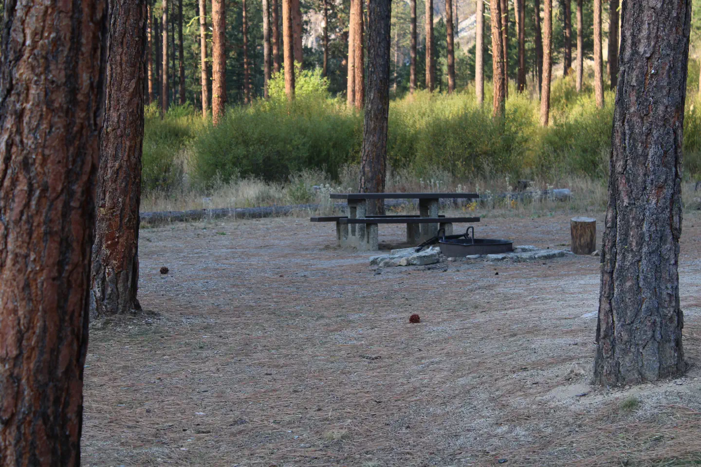 PINE FLATS (ID) photo 2