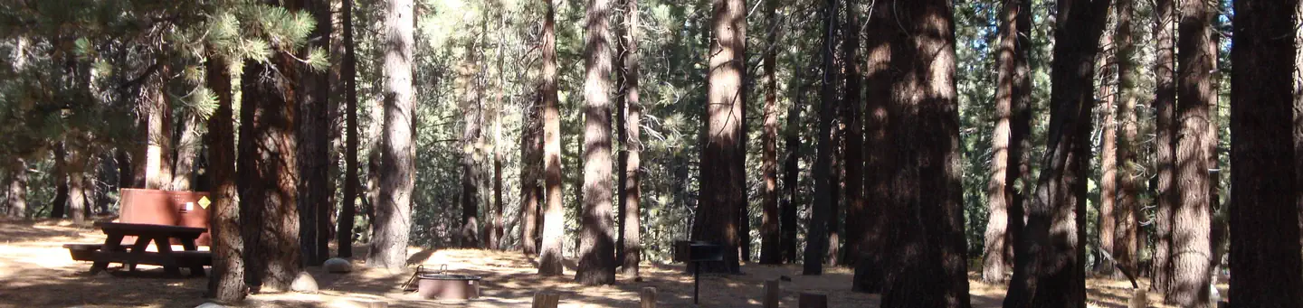 PINE GLEN photo