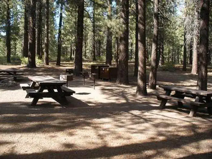 PINE GLEN photo 2