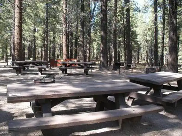PINE GLEN photo 3