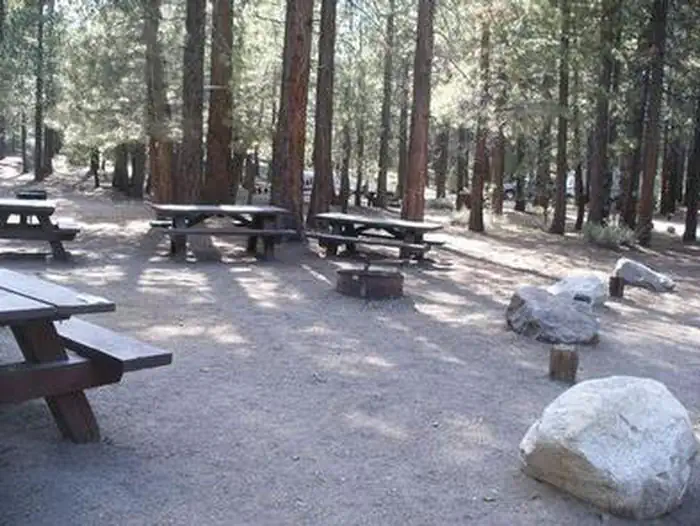 PINE GLEN photo 5