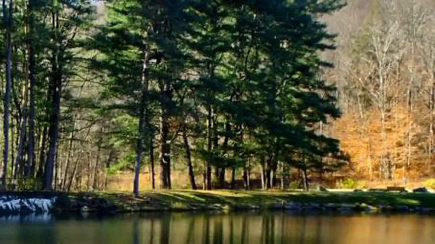 Pine Grove Boat Access Campground photo