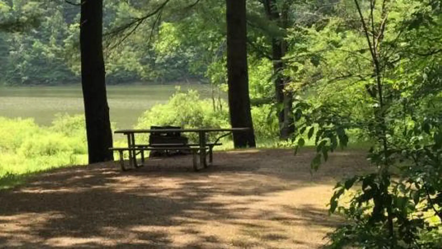 Pine Grove Boat Access Campground photo 2