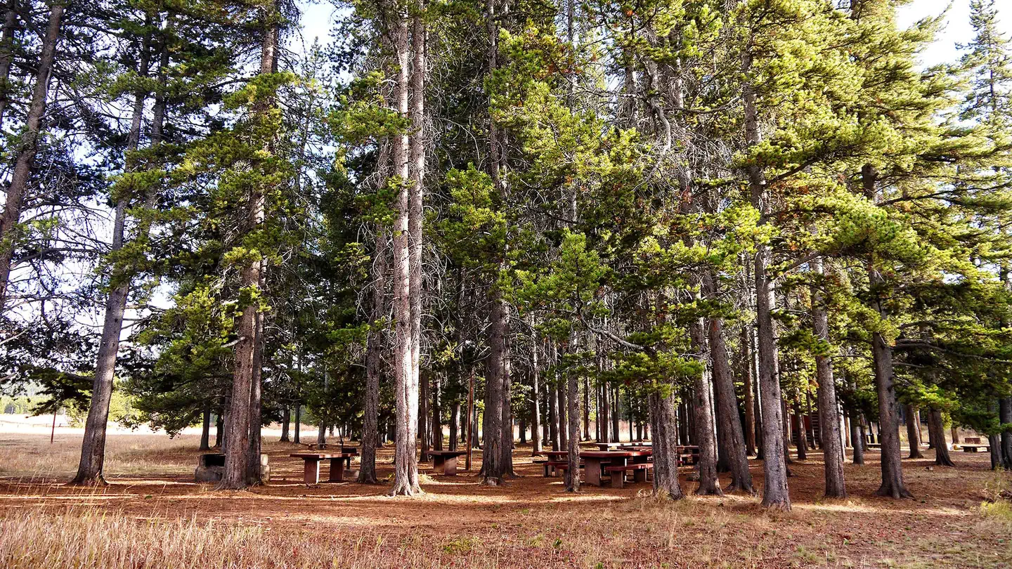 PINE ISLAND GROUP AREA photo