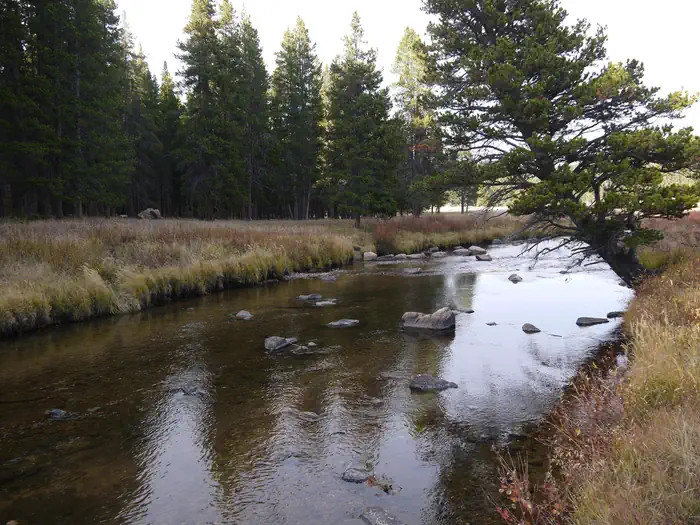 PINE ISLAND GROUP AREA photo 3