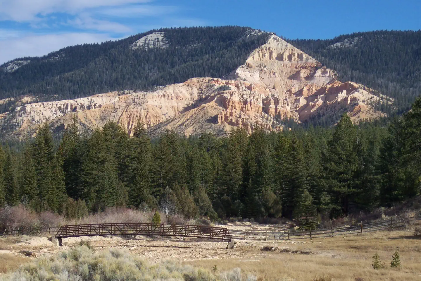 PINE LAKE CAMPGROUND photo 2