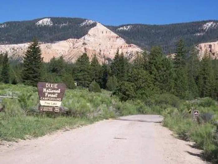 PINE LAKE CAMPGROUND photo 4