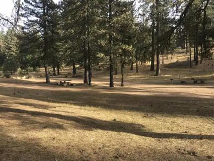 PINE MOUNTAIN CAMPGROUND photo