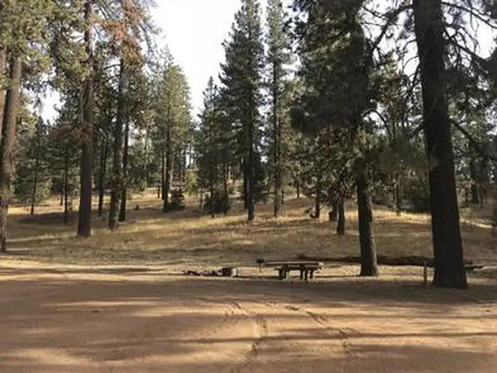 PINE MOUNTAIN CAMPGROUND photo 2