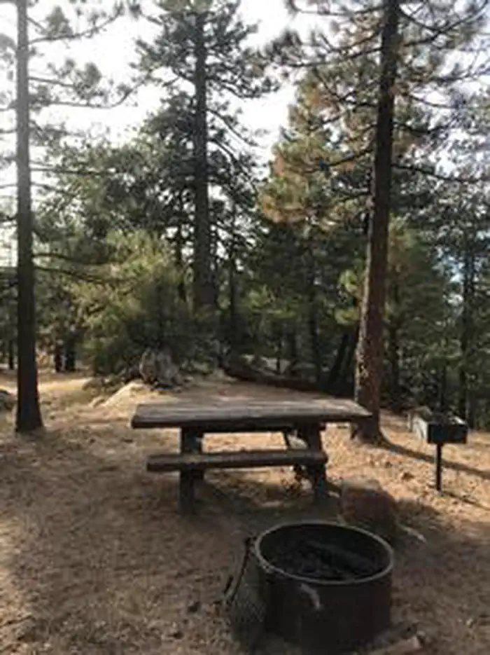 PINE MOUNTAIN CAMPGROUND photo 3