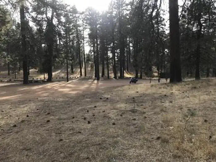 PINE MOUNTAIN CAMPGROUND photo 4