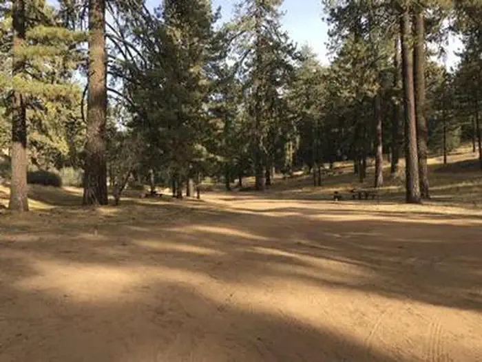 PINE MOUNTAIN CAMPGROUND photo 5