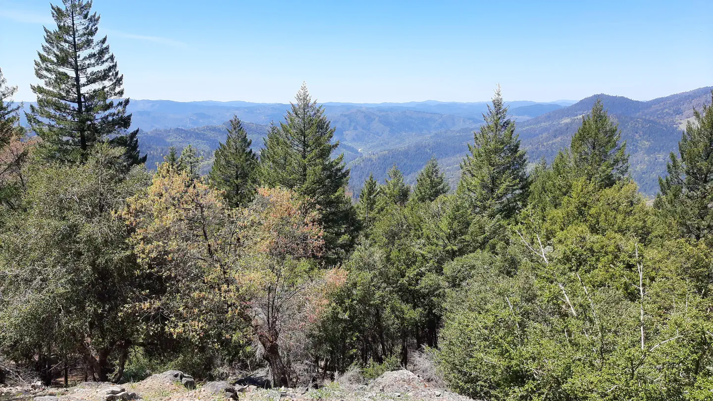 PINE MOUNTAIN LOOKOUT photo