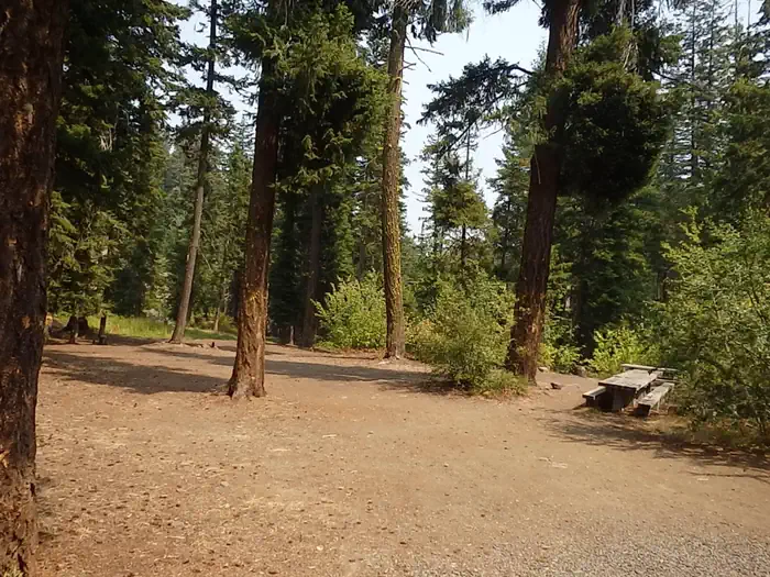 PINE NEEDLE GROUP SITE photo 2