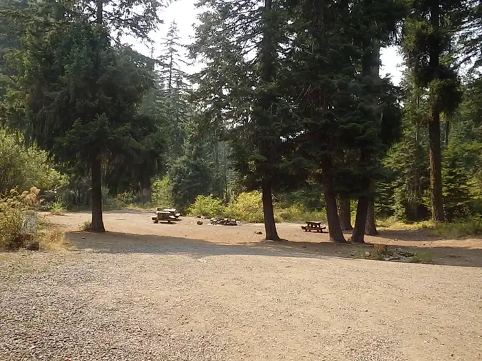 PINE NEEDLE GROUP SITE photo 3