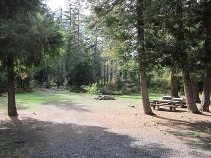 PINE NEEDLE GROUP SITE photo 5