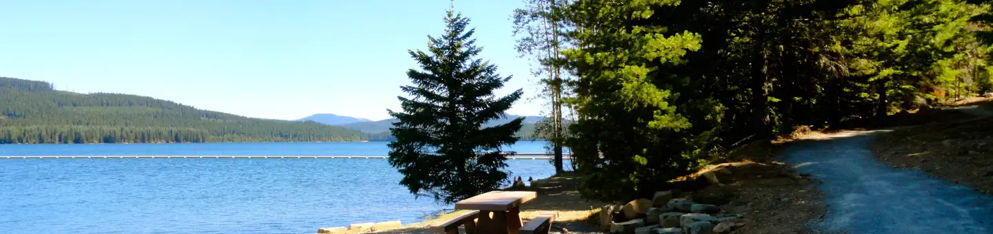 Pine Point Campground (Timothy Lake, OR) photo