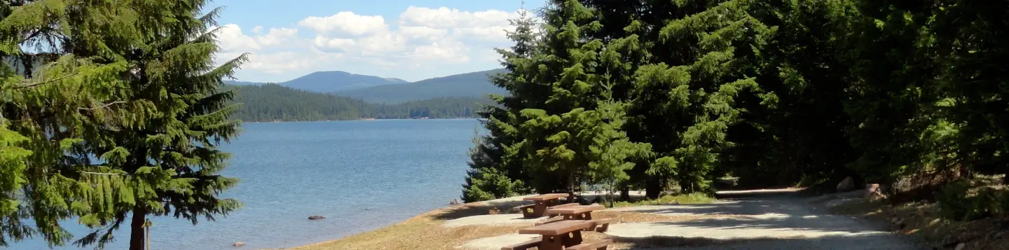 Pine Point Campground (Timothy Lake, OR) photo 2