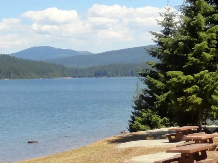 Pine Point Campground (Timothy Lake, OR) photo 3