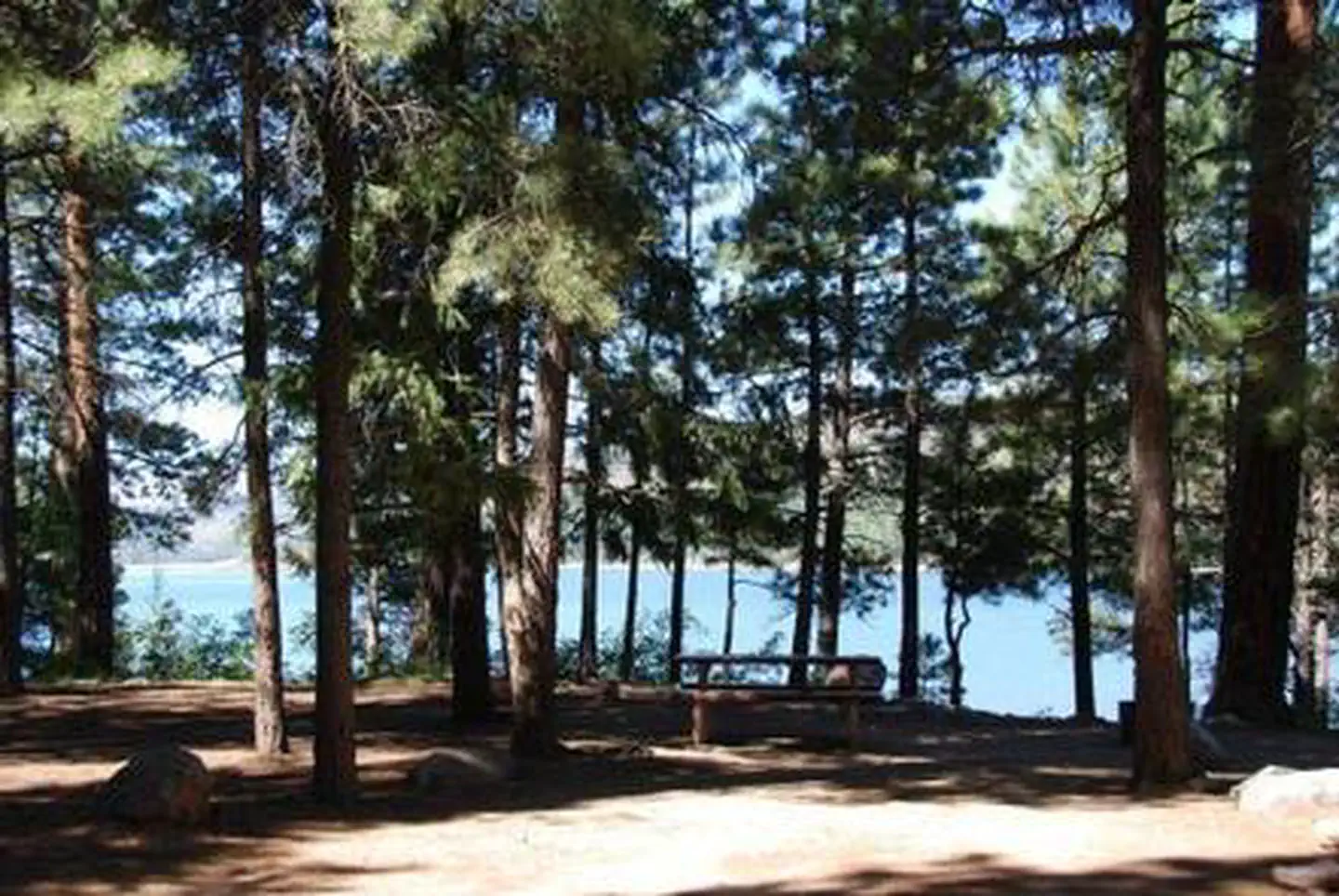 Pine Point (Vallecito Reservoir, CO) photo 4