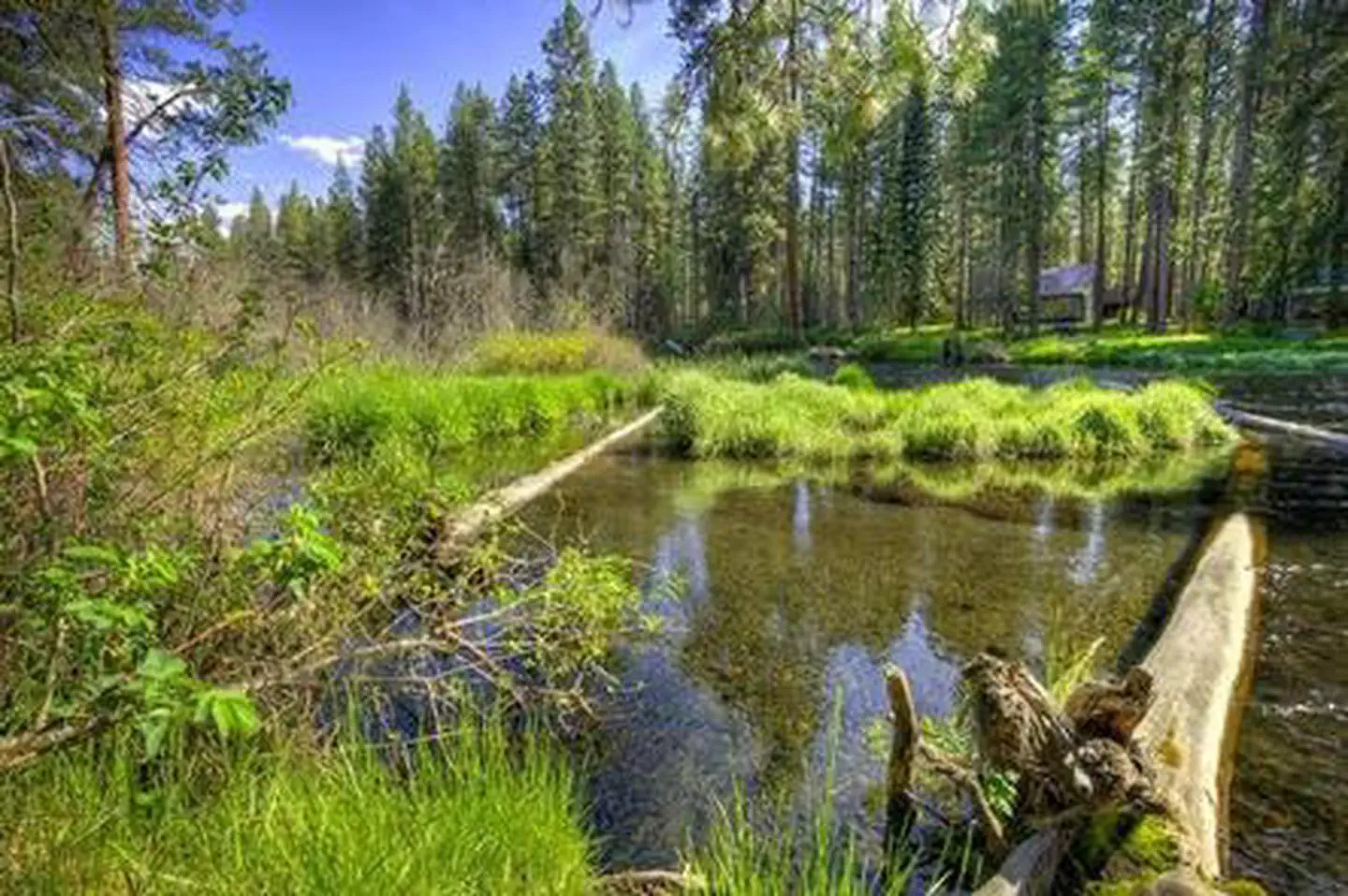PINE REST CAMPGROUND photo 4