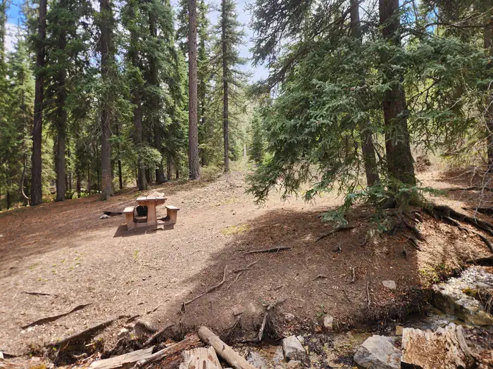Pine River photo 2
