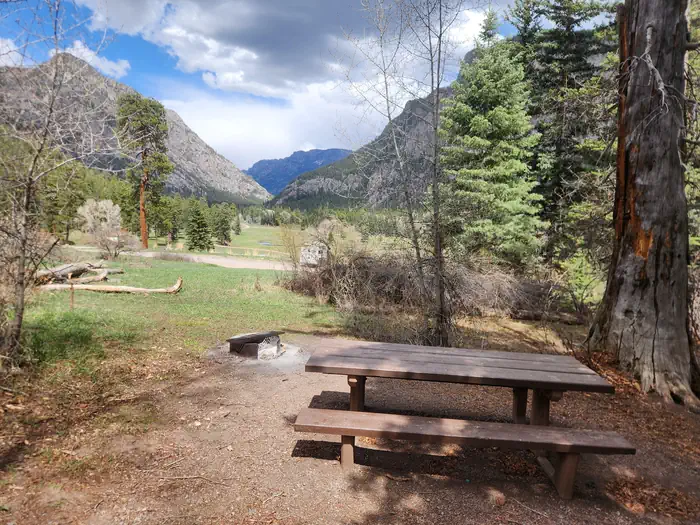 Pine River photo 4
