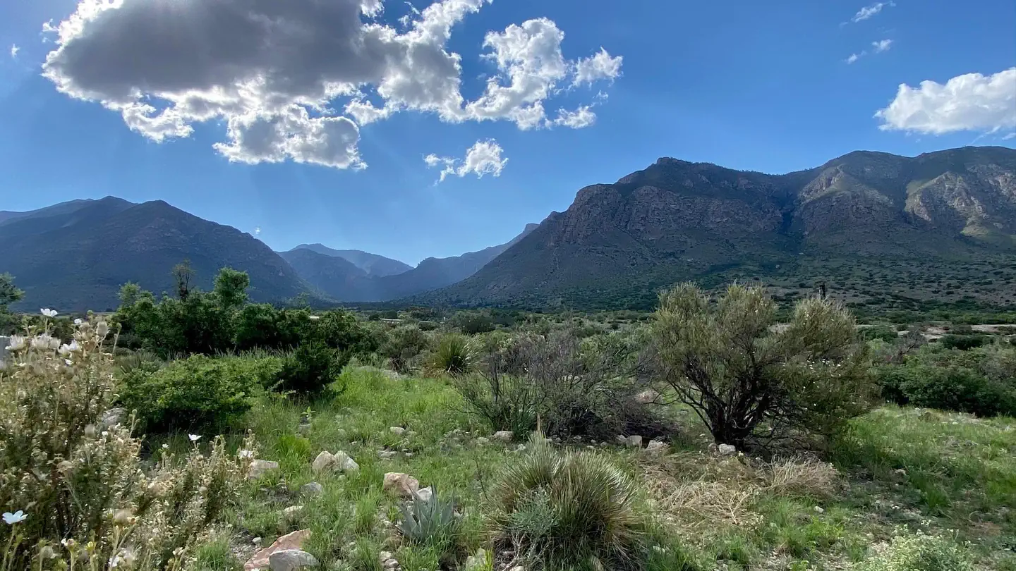 Pine Springs Campground photo