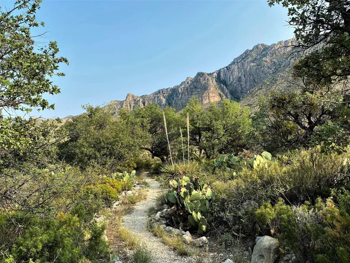 Pine Springs Campground photo 3
