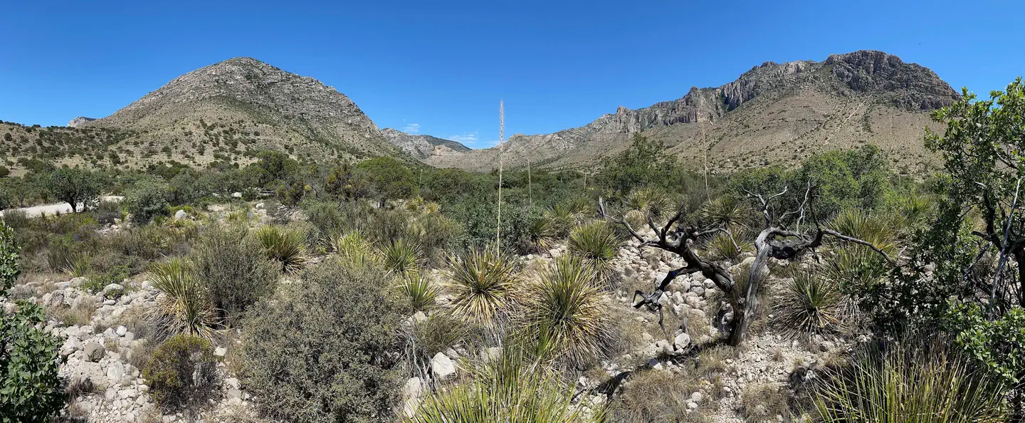 Pine Springs Campground photo 5