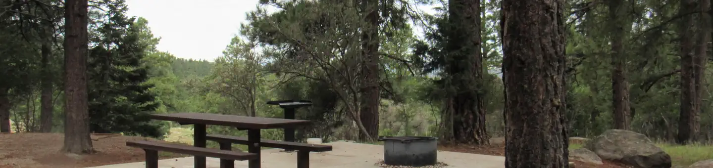 PINE VALLEY RECREATION AREA photo