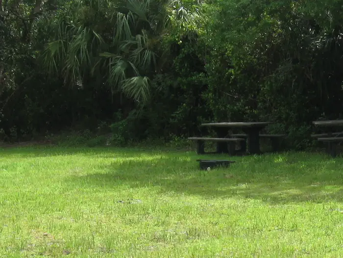 Pinecrest Group Campground photo 2