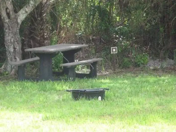 Pinecrest Group Campground photo 3