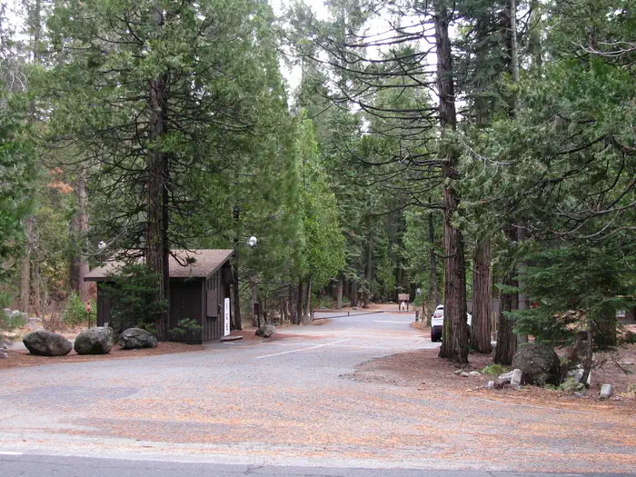 PINECREST photo 2