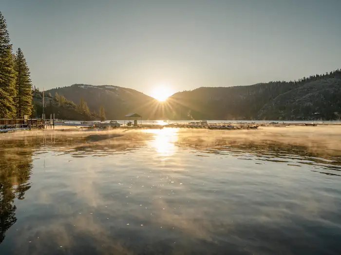PINECREST photo 4