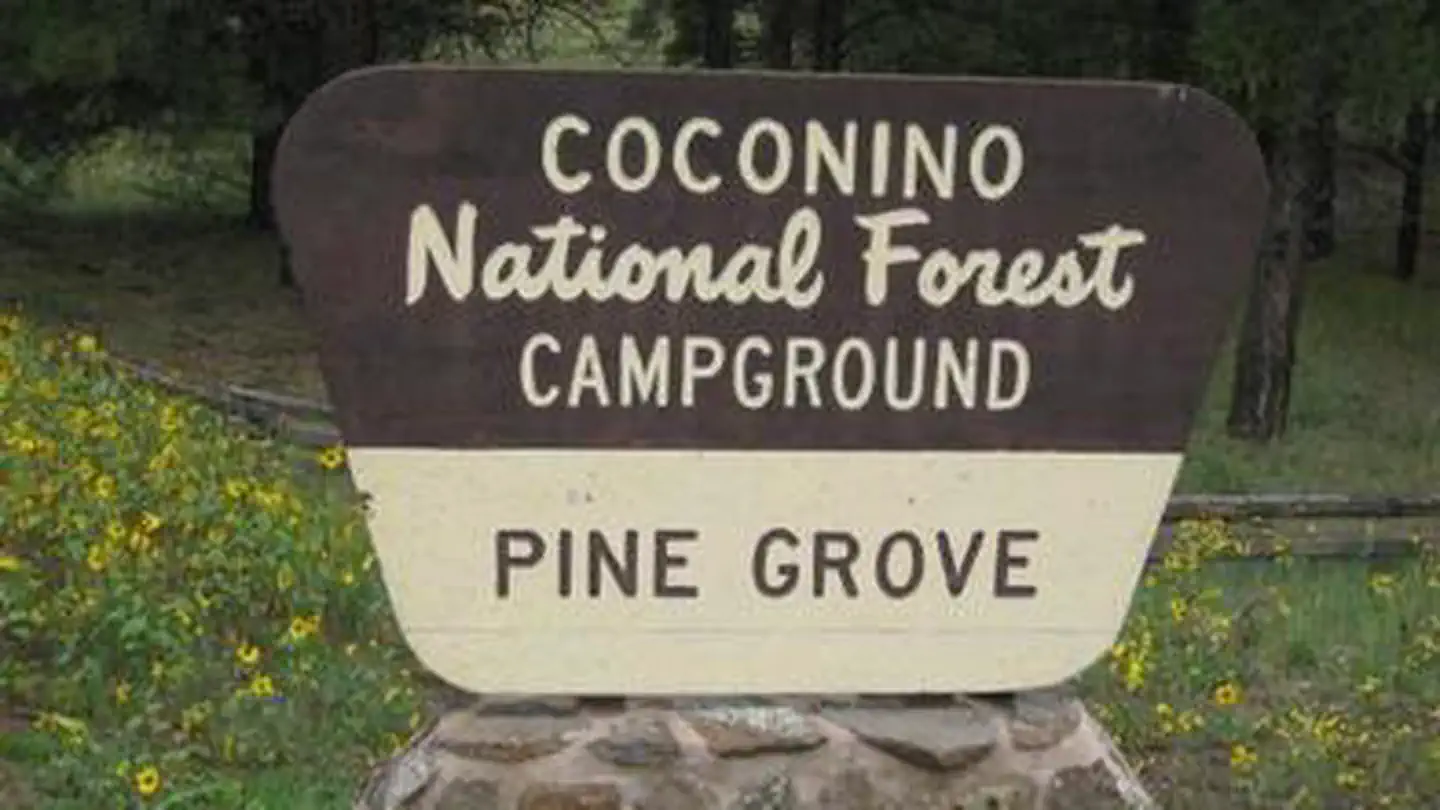 PINEGROVE photo