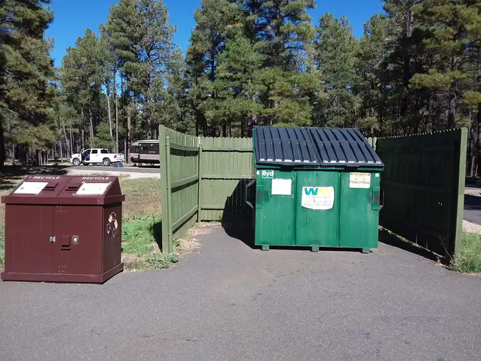 PINEGROVE photo 5
