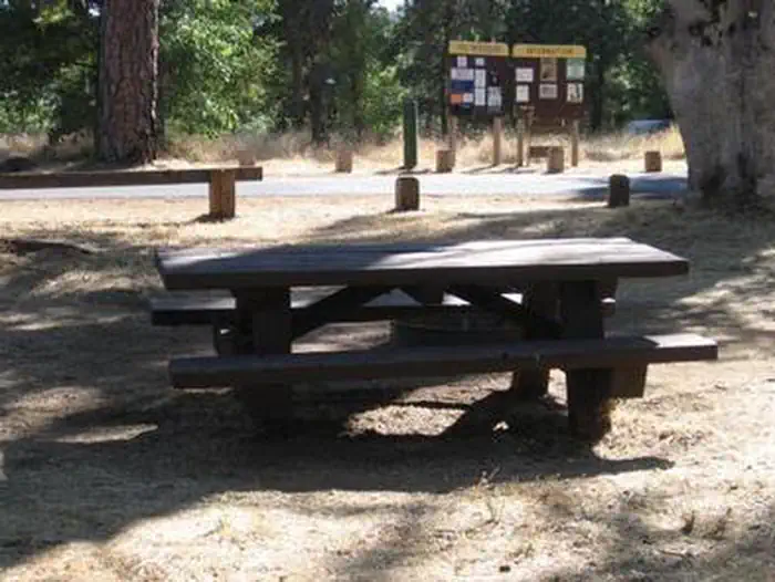 PINES GROUP STANISLAUS photo 2
