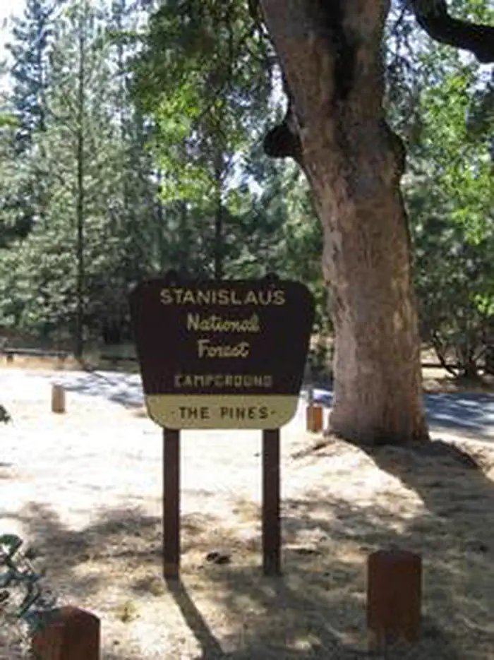 PINES GROUP STANISLAUS photo 3