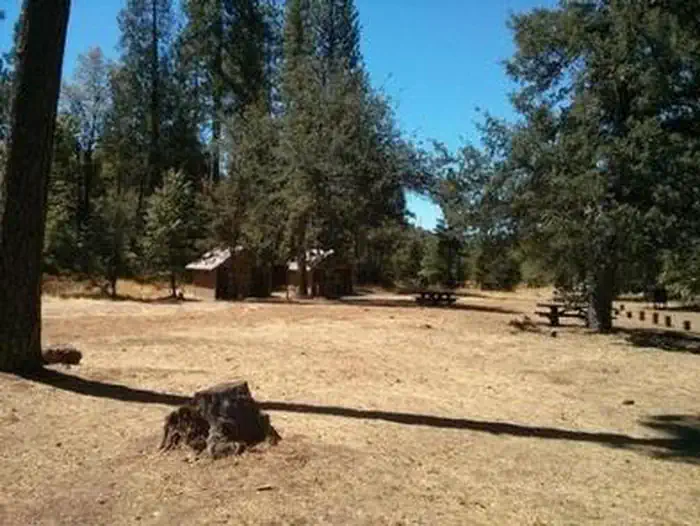 PINES GROUP STANISLAUS photo 4