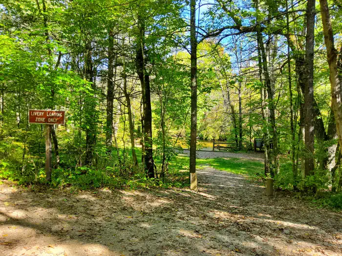 Pines Point Campground (MI) photo 2