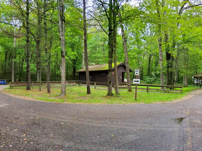 Pines Point Campground (MI) photo 3