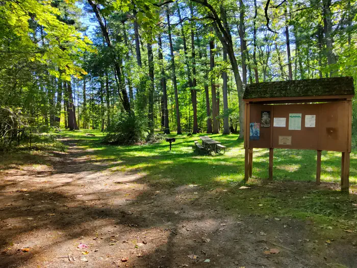 Pines Point Campground (MI) photo 4