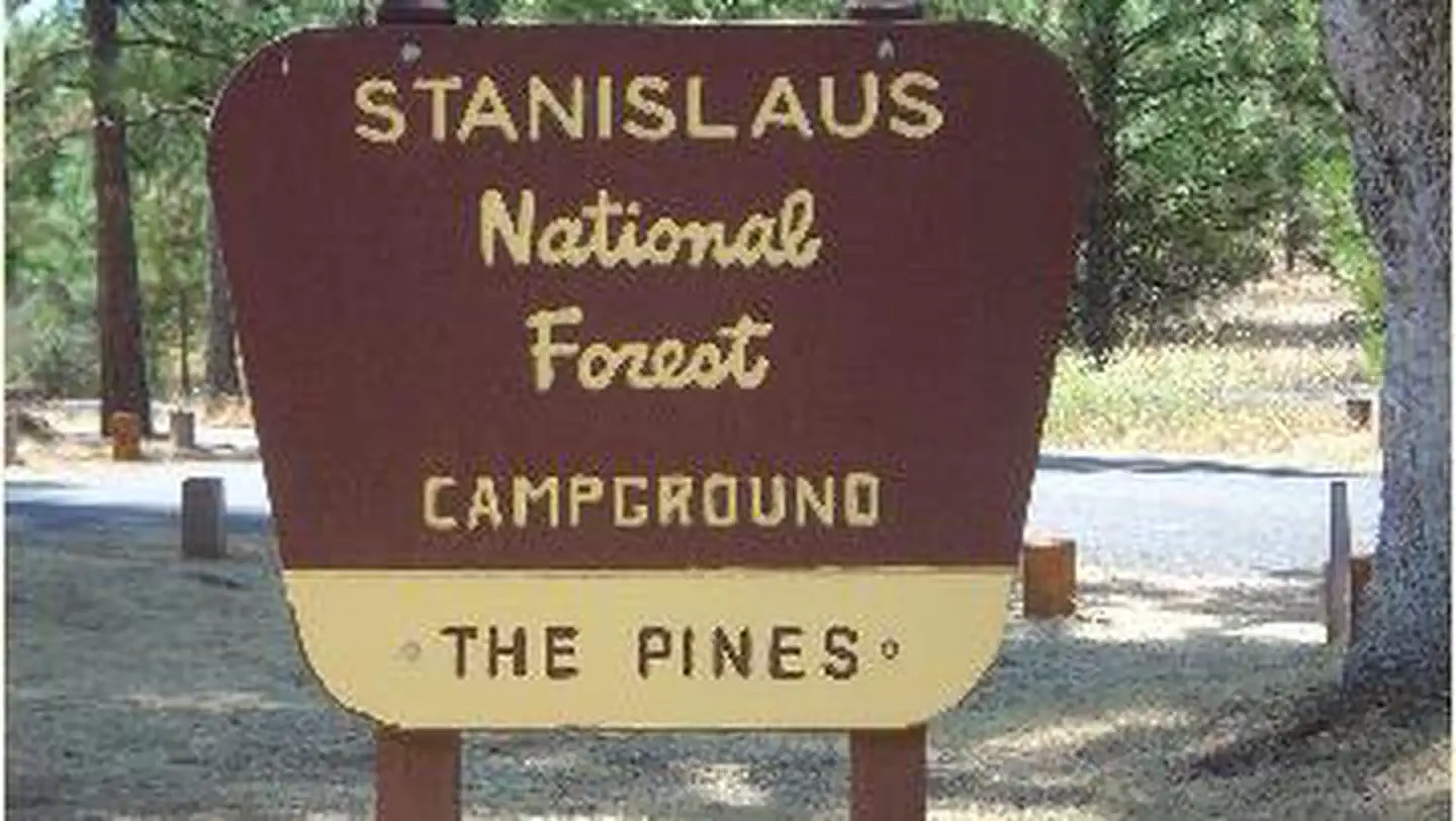 Pines Stanislaus photo