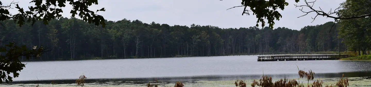 PINEWOODS LAKE REC AREA photo