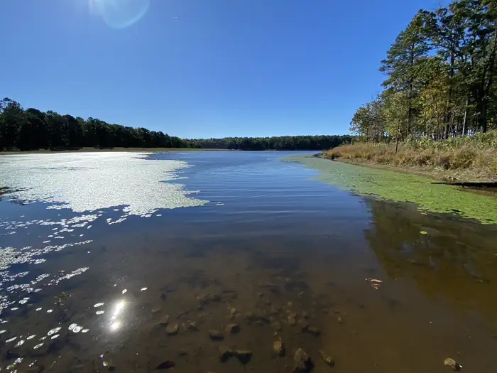 PINEWOODS LAKE REC AREA photo 2
