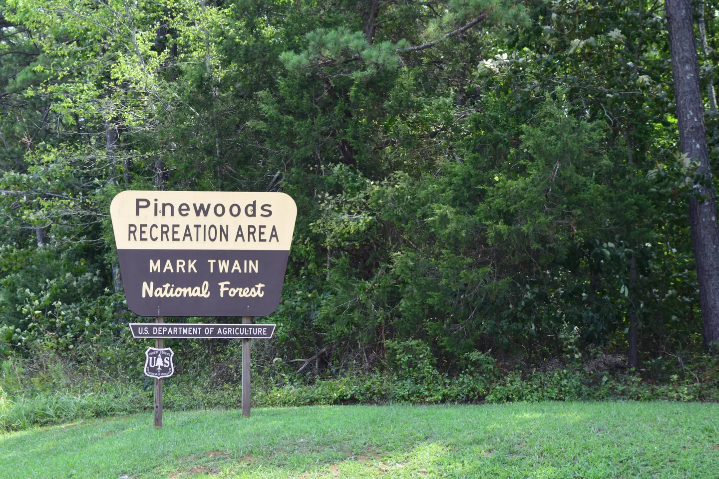 PINEWOODS LAKE REC AREA photo 3