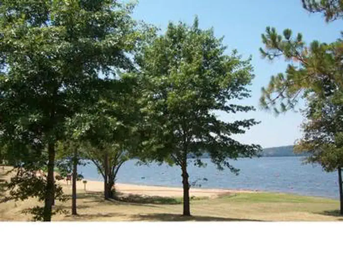 PINEY BAY photo 3