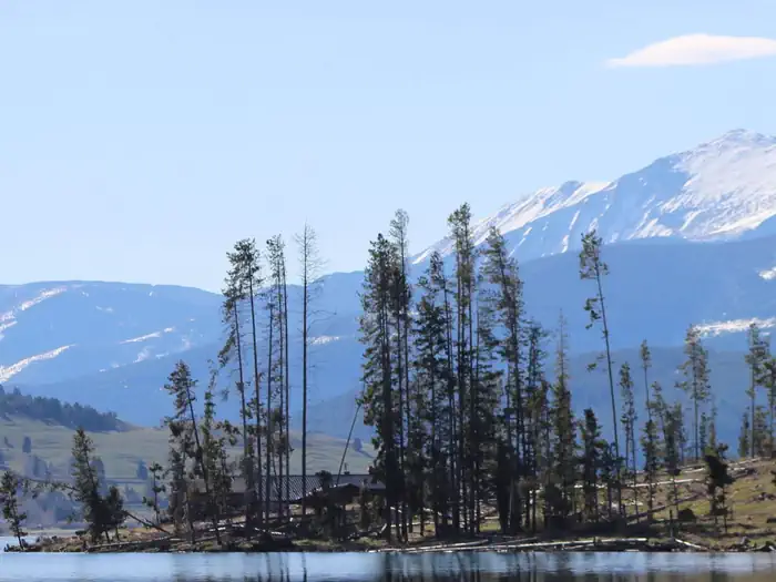 PINEY CAMPGROUND AND BOAT LAUNCH photo 4