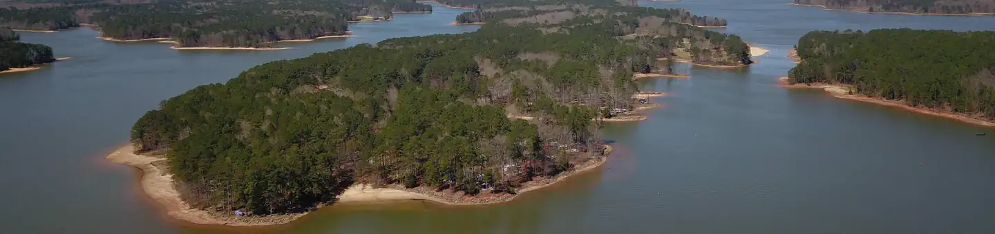 PINEY GROVE photo